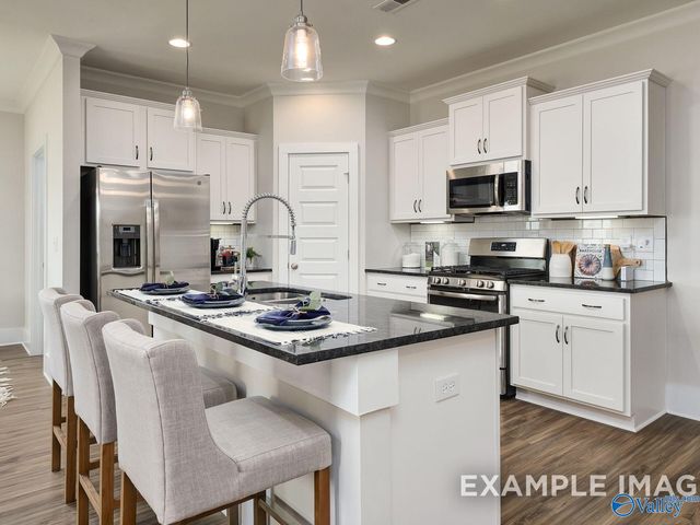 118 Cotita Drive, Toney, AL 35773