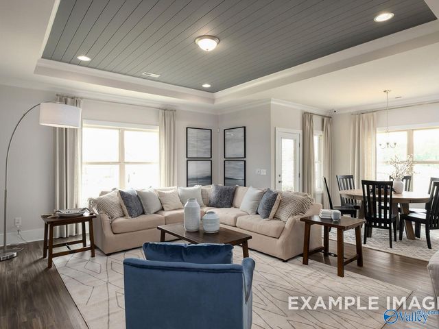 118 Cotita Drive, Toney, AL 35773