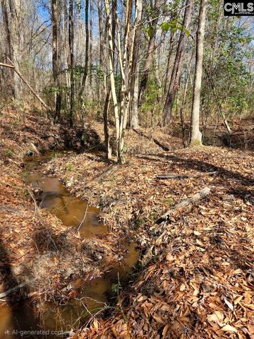 1354 Horsehead Road, Lugoff, SC 29078