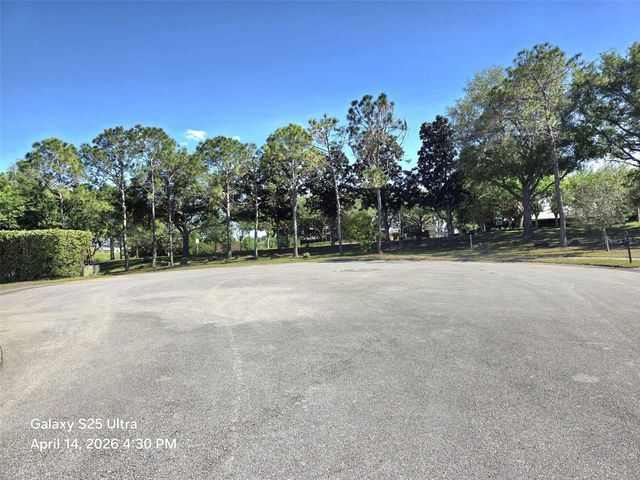 1027 BALMORAL DRIVE, Davenport, FL 33896