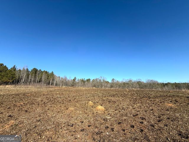 0 Ten Oaks Road, Buchanan, GA 30113