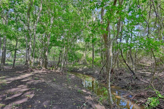 60 Acres Mcnelly Lane, Burton, TX 77835