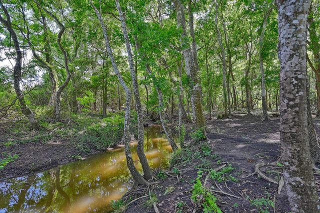 60 Acres Mcnelly Lane, Burton, TX 77835