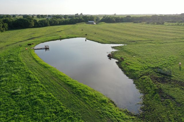 60 Acres Mcnelly Lane, Burton, TX 77835