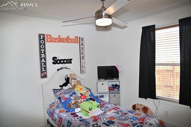 23628 Redtail Drive, Colorado Springs, CO 80928