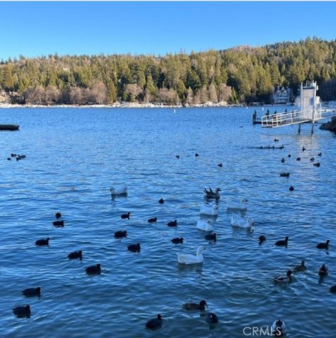 1228 Acadia, Lake Arrowhead, CA 92352