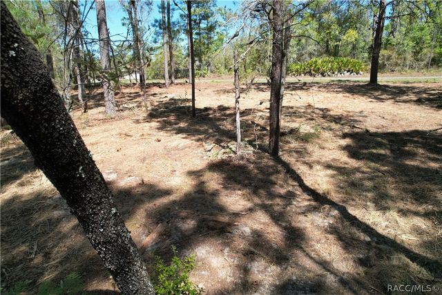 3616 W Fountain Lane, Citrus Springs, FL 34433