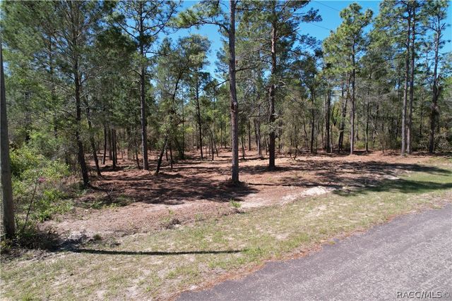 3616 W Fountain Lane, Citrus Springs, FL 34433
