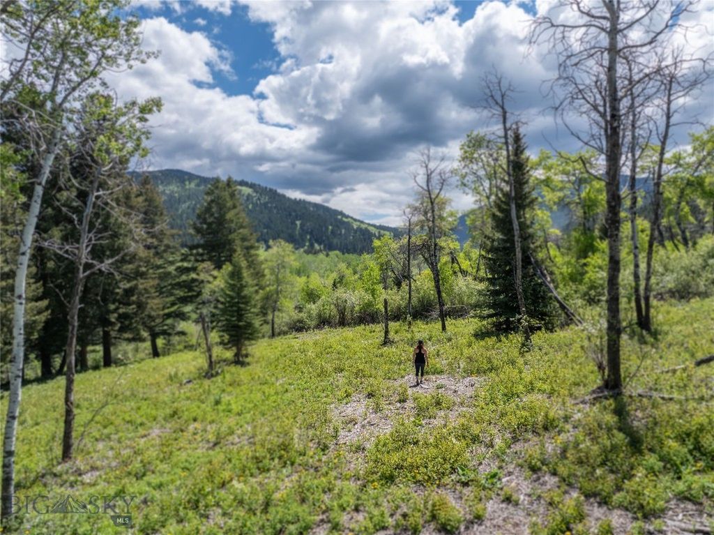 13011 Cottonwood Canyon Road, Bozeman, MT 59718 photo 84