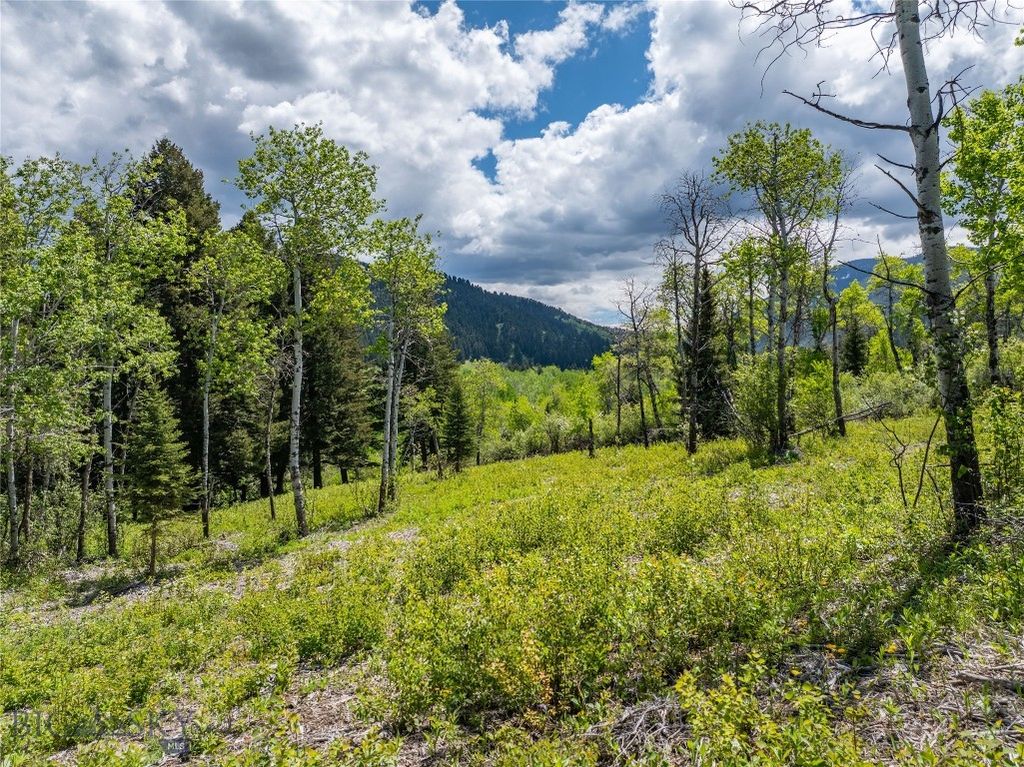 13011 Cottonwood Canyon Road, Bozeman, MT 59718 photo 85