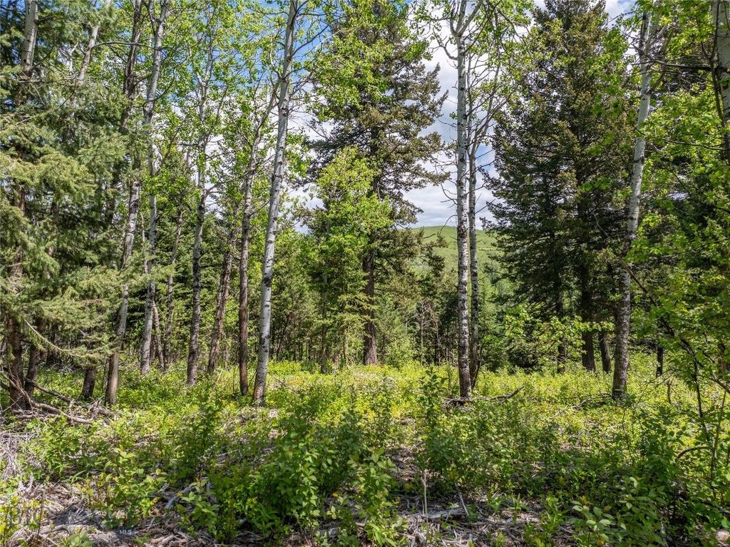 13011 Cottonwood Canyon Road, Bozeman, MT 59718 photo 87