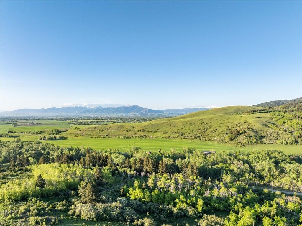 13011 Cottonwood Canyon Road, Bozeman, MT 59718 photo 90