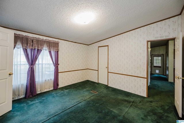 6515 BETHEL ROAD, Dora, AL 35062