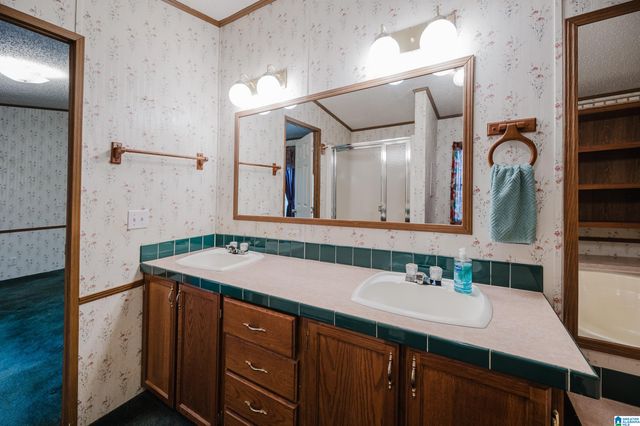 6515 BETHEL ROAD, Dora, AL 35062