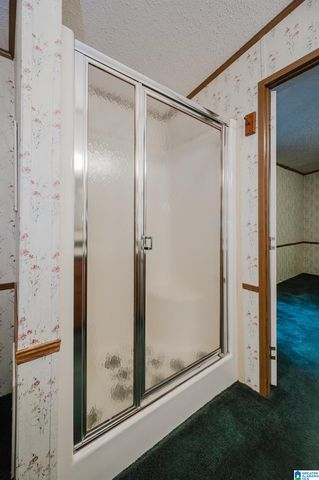 6515 BETHEL ROAD, Dora, AL 35062