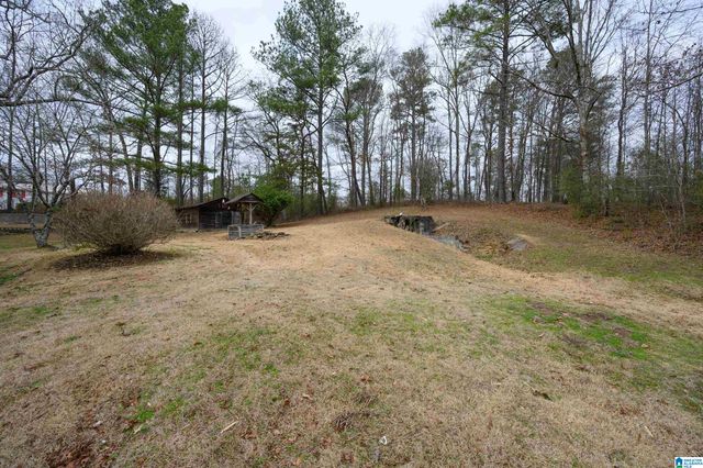 6515 BETHEL ROAD, Dora, AL 35062