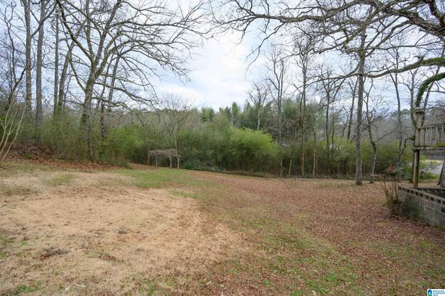 6515 BETHEL ROAD, Dora, AL 35062