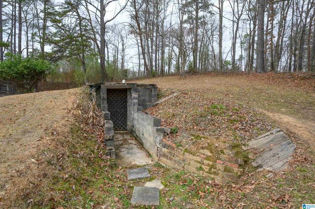 6515 BETHEL ROAD, Dora, AL 35062