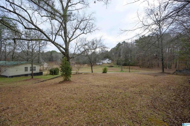 6515 BETHEL ROAD, Dora, AL 35062