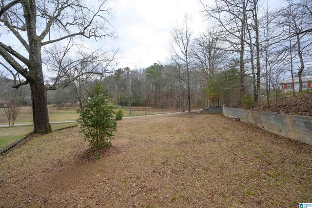 6515 BETHEL ROAD, Dora, AL 35062