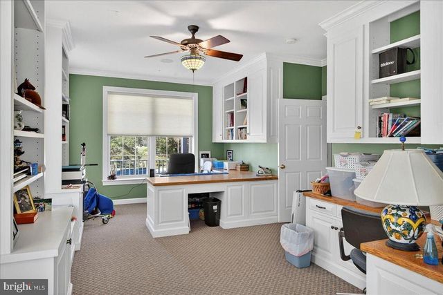 239 MT CARMEL RD, Luray, VA 22835