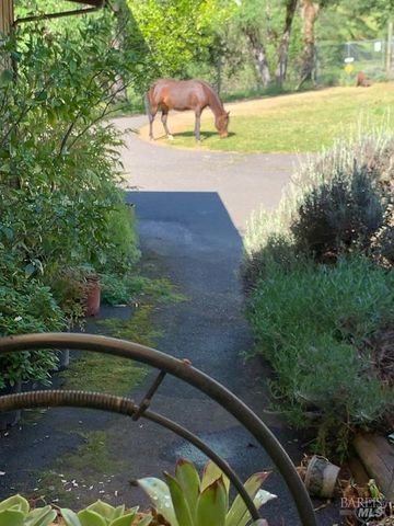 321 Sanel Dr, Ukiah, CA 95482