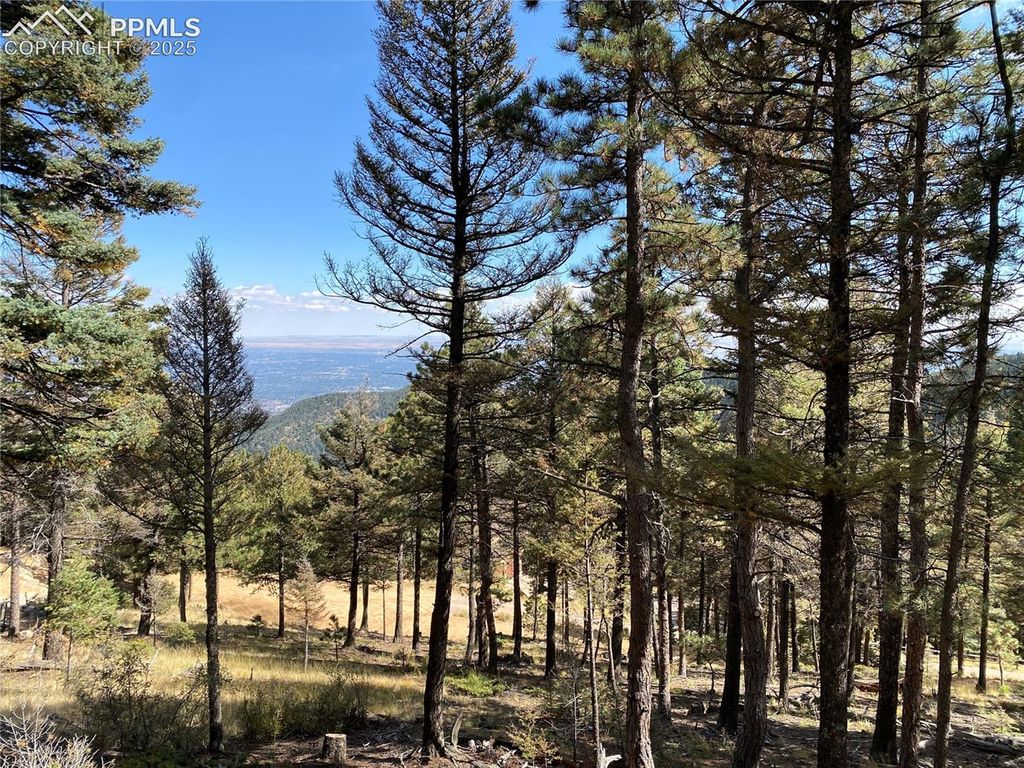 342 Ponderosa View, Manitou Springs, CO 80829 — exterior