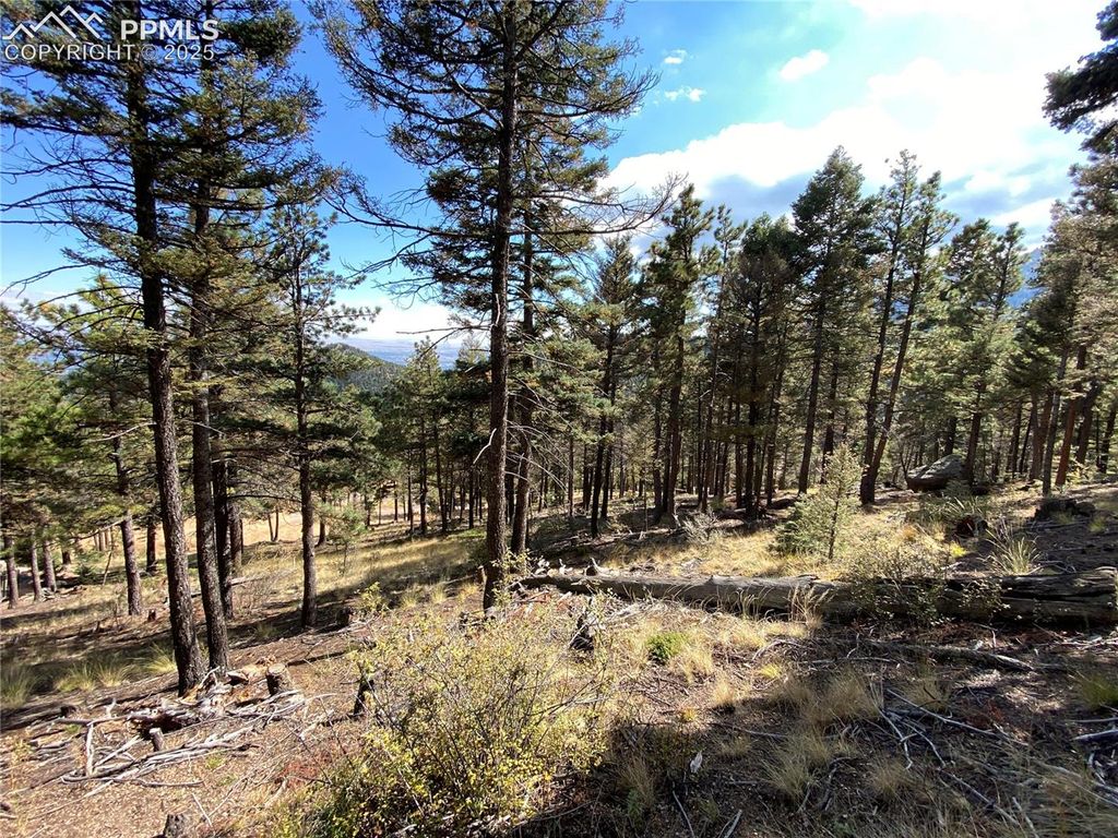 342 Ponderosa View, Manitou Springs, CO 80829 — photo 4