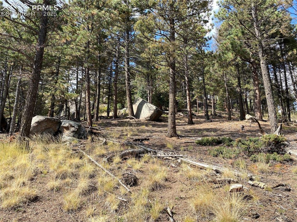 342 Ponderosa View, Manitou Springs, CO 80829 — photo 5