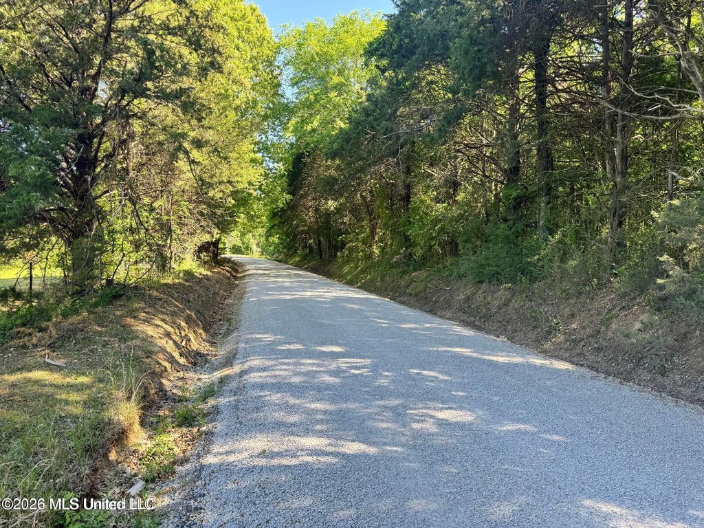 107 Union Valley Road, Byhalia, MS 38611 — photo 2