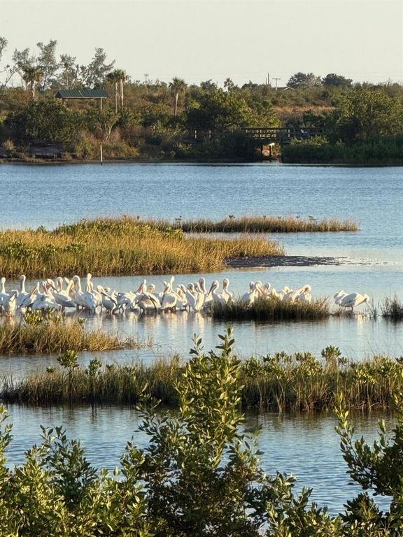 Image 49 of property listing at 1007 NW 82ND STREET, Bradenton, FL 34209