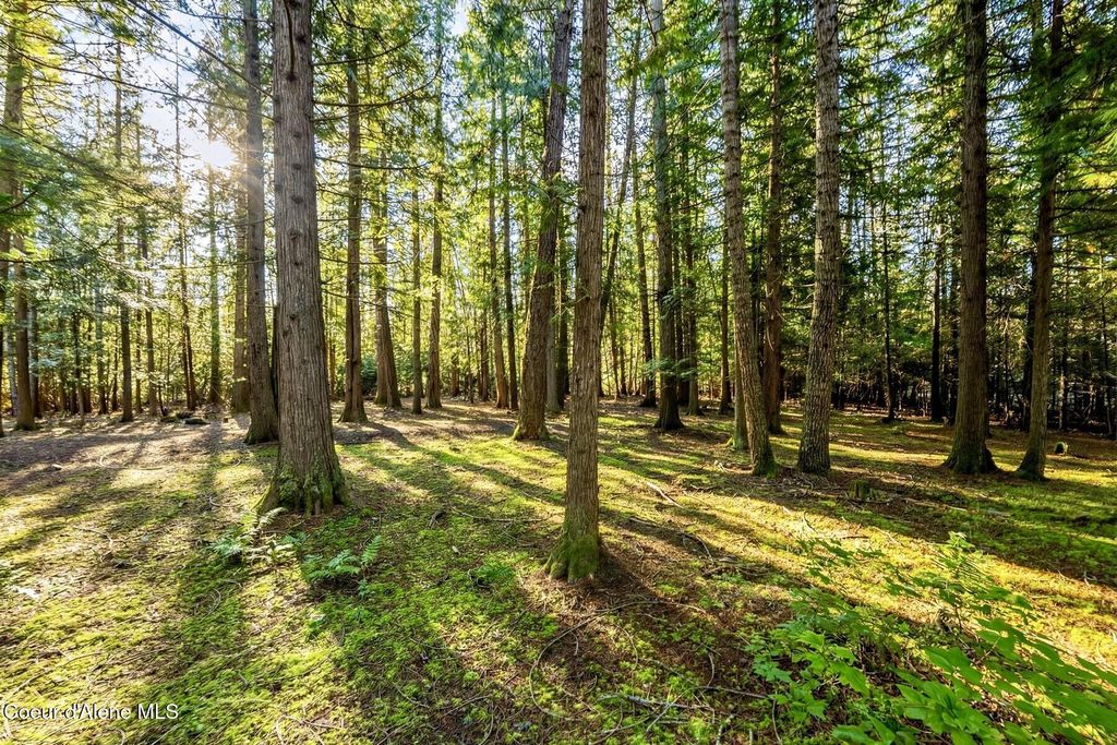 NKA Bishops Bay LN, Sagle, ID 83860 photo 17