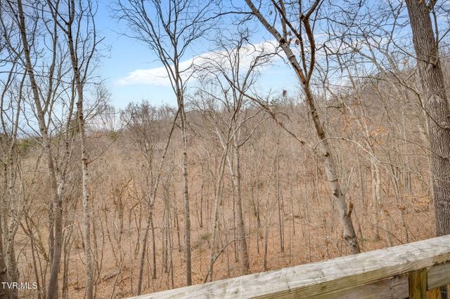 2809 Oak Cliff Court, Johnson City, TN 37601