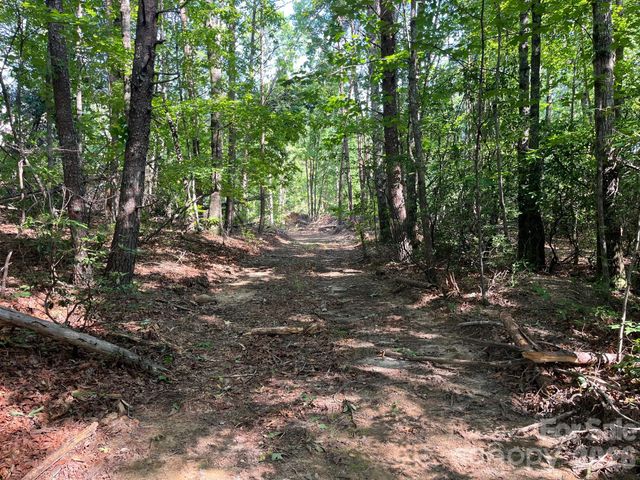 TBD Lotus Drive 19, Nebo, NC 28761