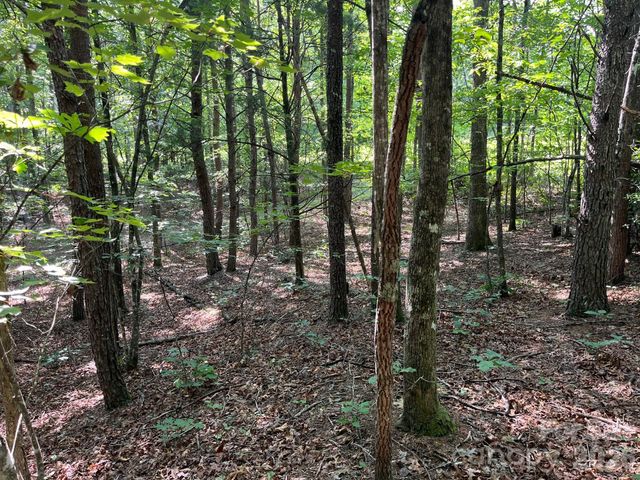 TBD Lotus Drive 19, Nebo, NC 28761