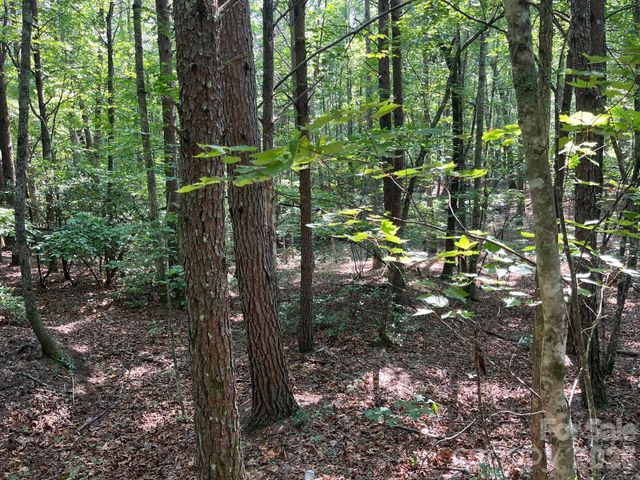 TBD Lotus Drive 19, Nebo, NC 28761