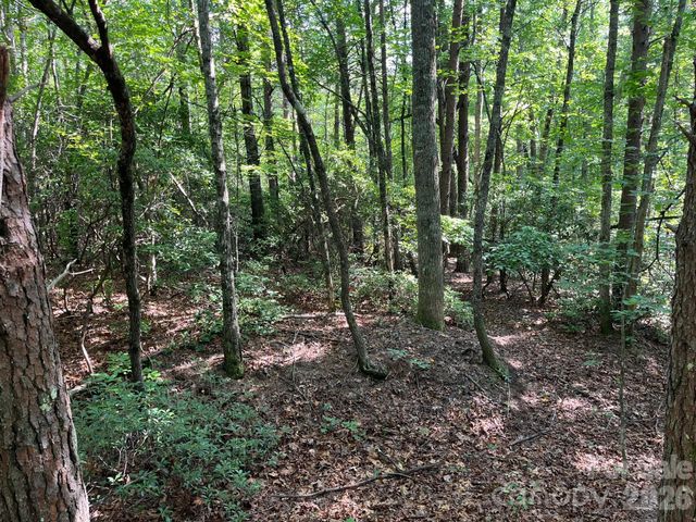 TBD Lotus Drive 19, Nebo, NC 28761