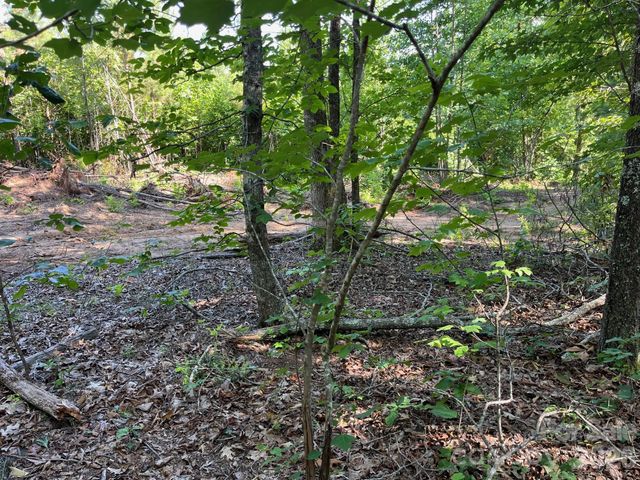 TBD Lotus Drive 19, Nebo, NC 28761