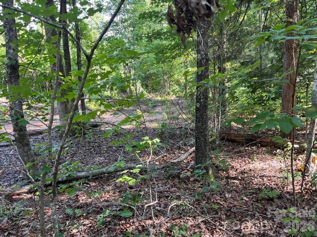 TBD Lotus Drive 19, Nebo, NC 28761