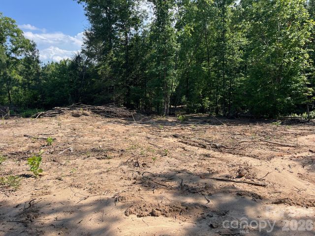 TBD Lotus Drive 19, Nebo, NC 28761