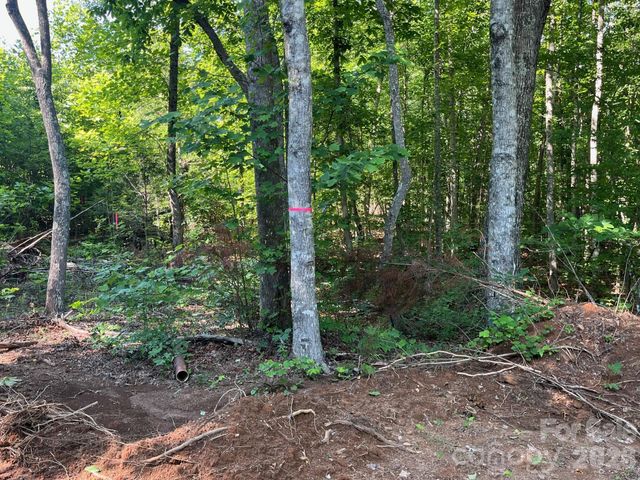 TBD Lotus Drive 19, Nebo, NC 28761