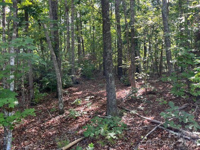 TBD Lotus Drive 19, Nebo, NC 28761
