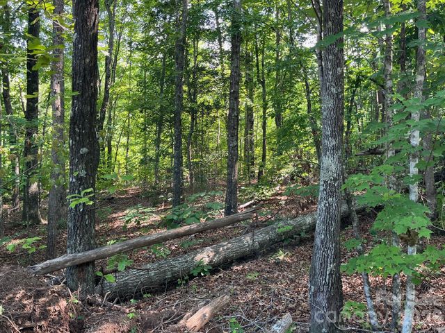 TBD Lotus Drive 19, Nebo, NC 28761