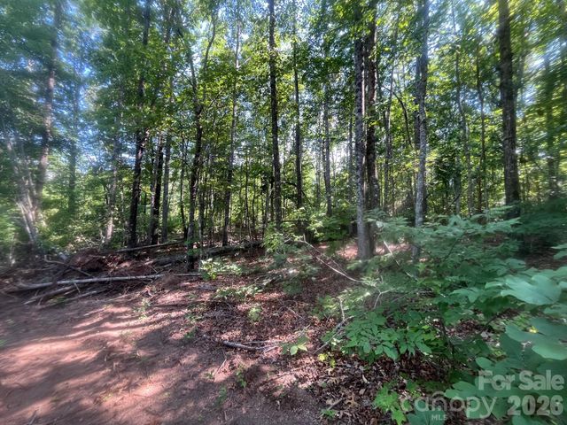 TBD Lotus Drive 19, Nebo, NC 28761