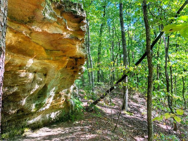 1030 Nada Tunnel Road, Stanton, KY 40380