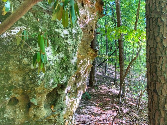1030 Nada Tunnel Road, Stanton, KY 40380