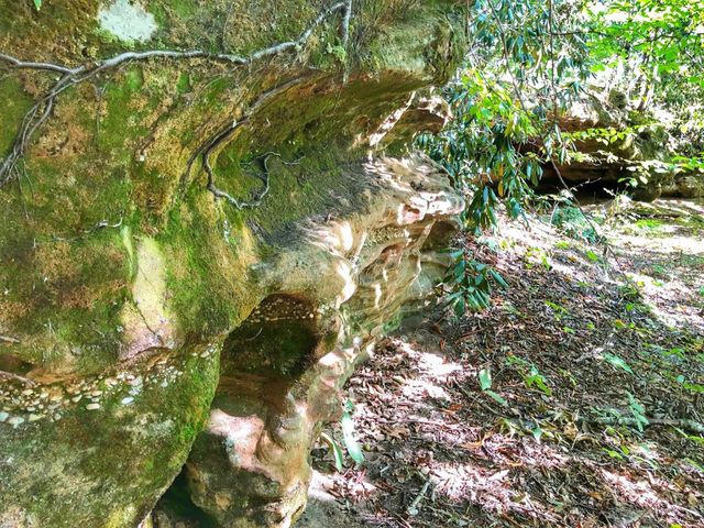 1030 Nada Tunnel Road, Stanton, KY 40380