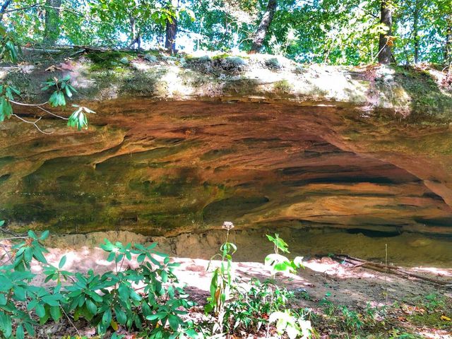 1030 Nada Tunnel Road, Stanton, KY 40380