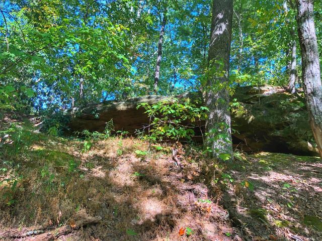 1030 Nada Tunnel Road, Stanton, KY 40380