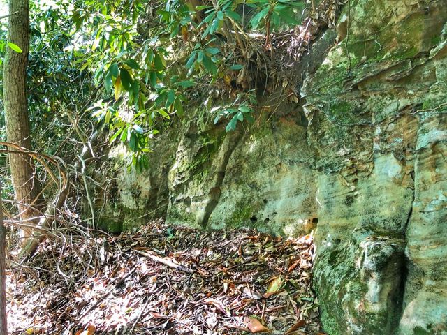 1030 Nada Tunnel Road, Stanton, KY 40380